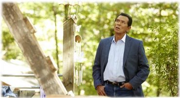 Wes Studi Chief Levi Gall